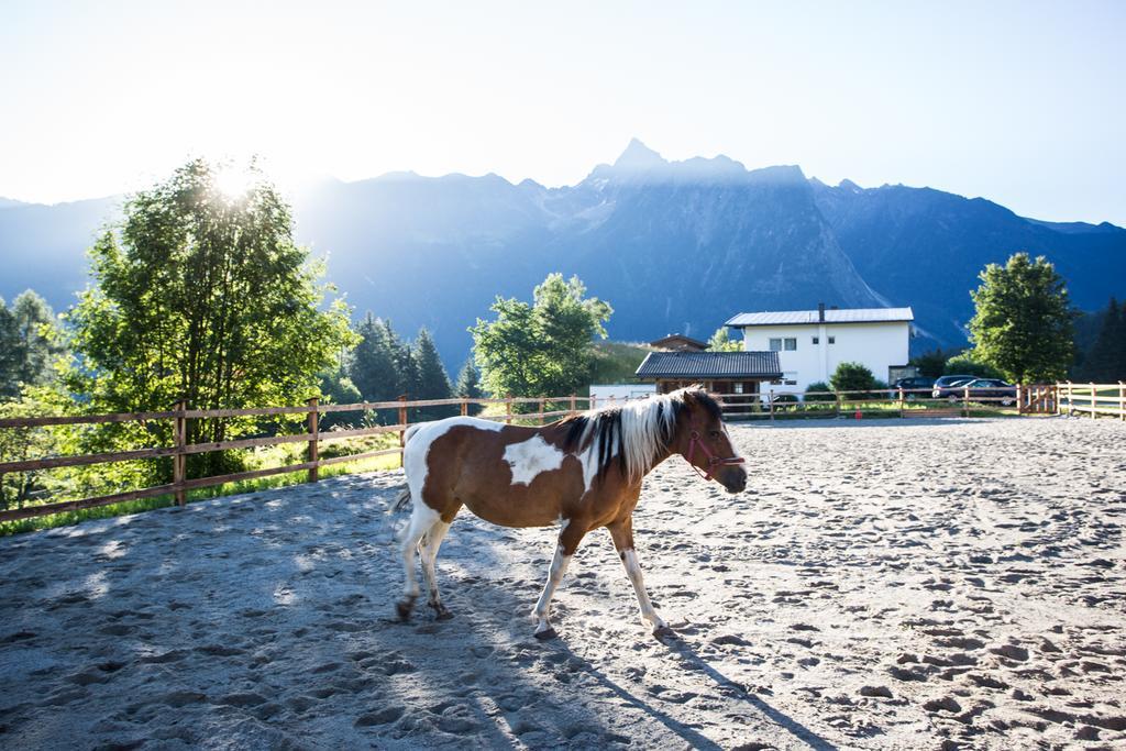 Oetztal Sautens